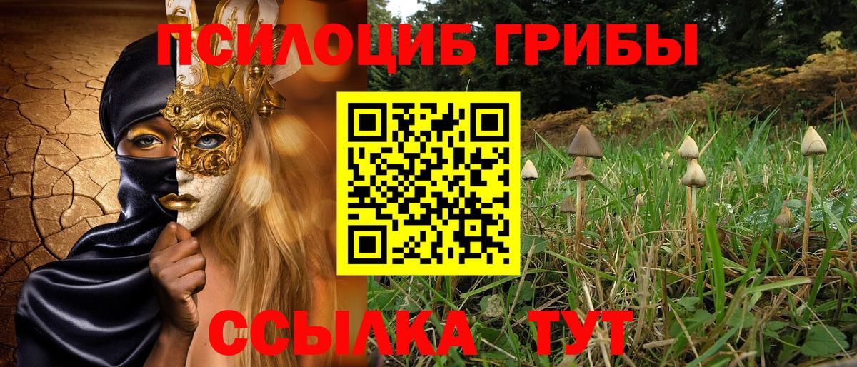 где продают наркотики  Вход с VPN  Асино  Галлюциногенные грибы Cubensis  Галлюциногенные грибы мицелий 